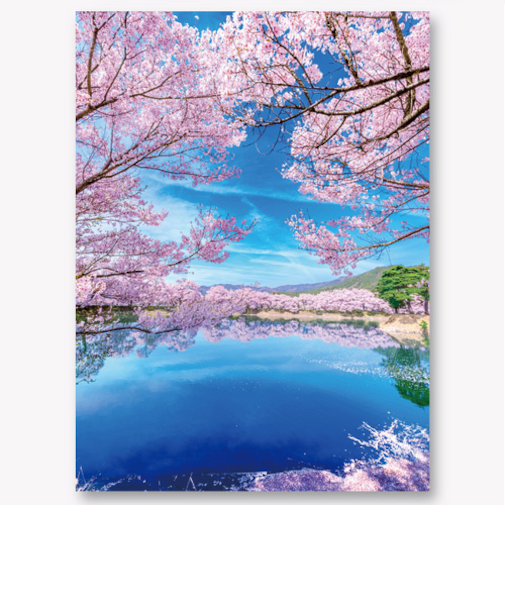 イーズプロダクツ（EASE）　サクラ　3Dポストカード　PN-1336