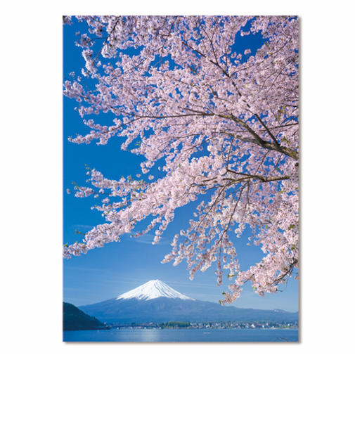 イーズプロダクツ（EASE）　サクラ　ポストカード　PN-1274