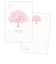 ホールマーク（Hallmark）　桜柄ハガキ箋　サクラミュージック　ヨコ罫　1柄8枚