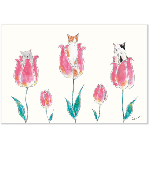 アクティブコーポレーション　春・トコロコムギポストカード　PPA－245h　おやゆび姫にゃんこ