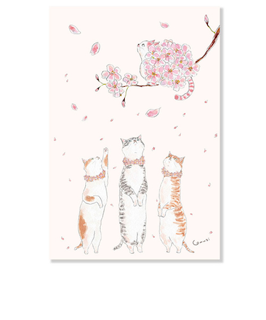 アクティブコーポレーション　春・トコロコムギポストカード　PPA－243h　桜を見上げるにゃんこ