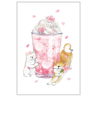 アクティブコーポレーション　春・しばいぬと春ポストカード　PPA－253h　桜ラテ