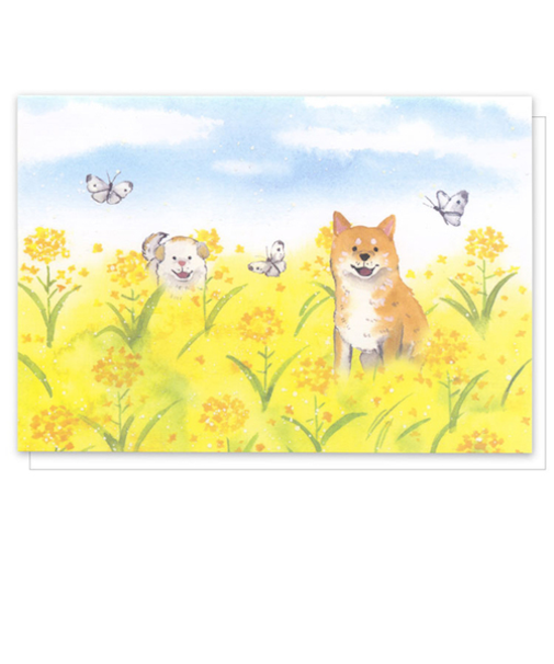 アクティブコーポレーション　春・しばいぬと春グリーティングカード　GJ－276h　菜の花