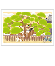 アクティブコーポレーション　春・たびねこポストカード　PPA－263h　まんまるの木