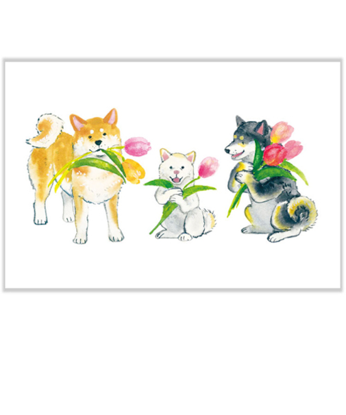 アクティブコーポレーション　春・しばいぬと春の花ポストカード　PPA－273h　チューリップ