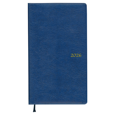 【2026年3月始まり】　ダイゴー　アポイント　ベーシックシリーズ　定形外　マンスリーブロック　E1162　ブルー　日曜始まり