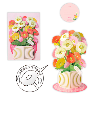 ホールマーク（Hallmark）　立体カード　誕生お祝い　With　Flowers　ポピー