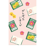 エスシー　古川紙工×メーカーコラボ　ぽち袋　NS51－FP－SN　ショウワノート　3枚入