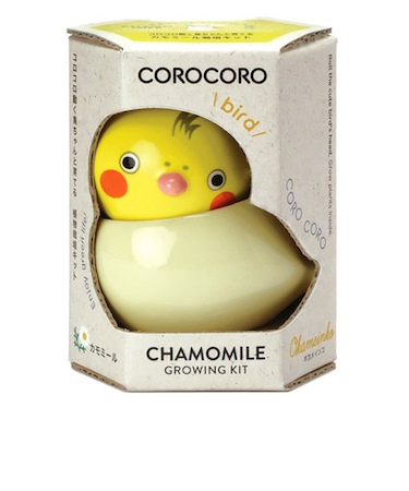 聖新陶芸　コロコロバード（COROCORO　Bird）　GD1053-4　オカメ/カモミール