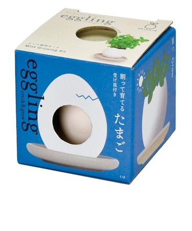 聖新陶芸　エッグリング＆ソーサー　EG61-1　ミント