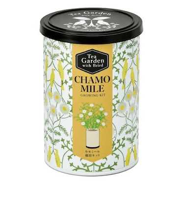 聖新陶芸　ティーガーデン　GD1054-4　カモミール