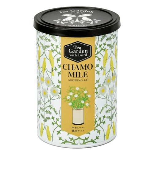 聖新陶芸　ティーガーデン　GD1054-4　カモミール