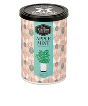 聖新陶芸　ティーガーデン　GD1054-1　アップルミント