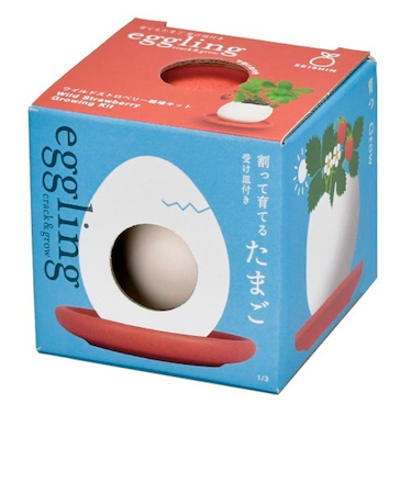 聖新陶芸　エッグリング＆ソーサー　EG61-3　ワイルドストロベリー