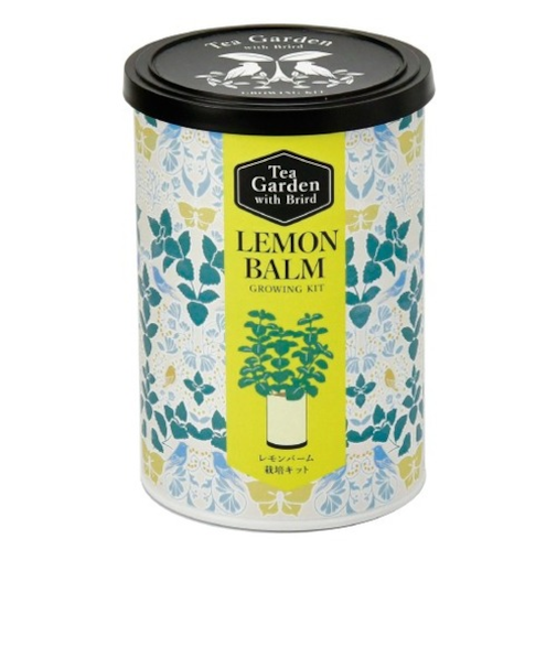 聖新陶芸　ティーガーデン　GD1054-2　レモンバーム