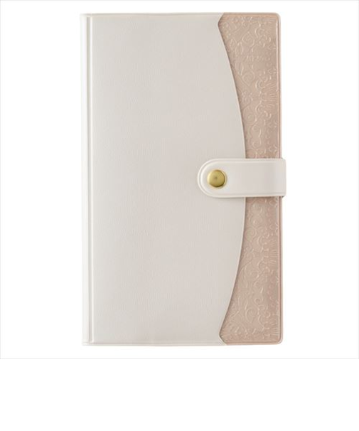 【2026年3月始まり】　ペイジェム（PAGEM　by　NOLTY）　ファミリー×マンスリーポーチたっぷりスリム-i　定形外　ウィークリー見開き2週間　9968