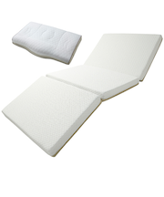 【お買い得】　西川×ハンズ　nishikawaとハンズが考えた　マットレス＋枕　セット　【ネットストア限定】