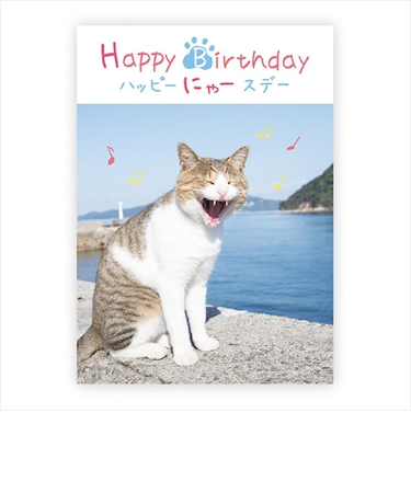 学研ステイフル　メッセージブック　ハッピーにゃースデー　B11008　ねこ