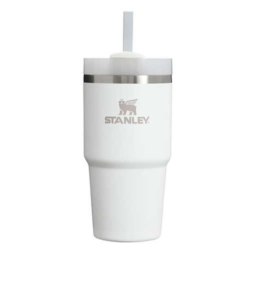 スタンレー（STANLEY）　H2.0真空スリムクエンチャー　0.6L　フロスト