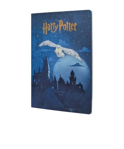 ペーパーブランクス（Paperblanks）　カイエ　ハリー・ポッターコレクション　A4罫線　CBD6565　ホグワーツへの逃亡