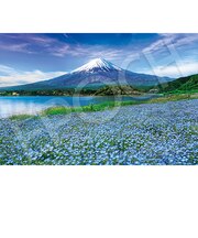 エポック社　ネモフィラ咲く富士（山梨）　09-040s　1000ピース