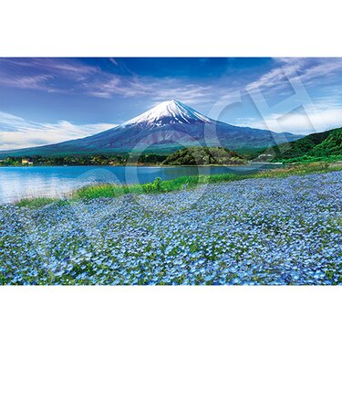 エポック社　ネモフィラ咲く富士（山梨）　09-040s　1000ピース
