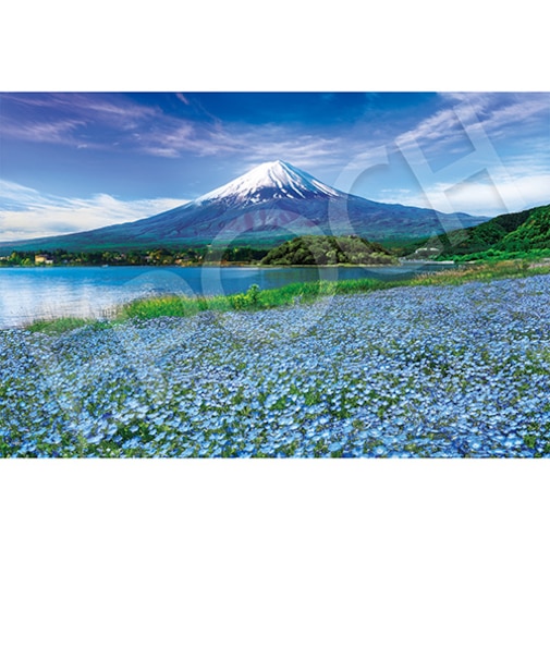 エポック社　ネモフィラ咲く富士（山梨）　09-040s　1000ピース
