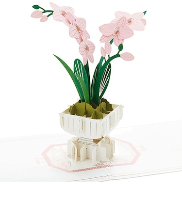 ホールマーク（Hallmark）　多目的　シグニチャーペーパーワンダー　３Dポップアップカード　822156　Wishing　a　beautiful　day　t