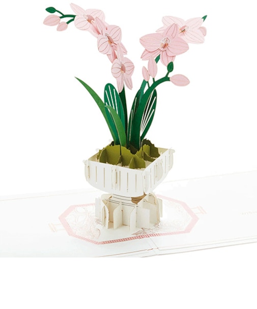 ホールマーク（Hallmark）　多目的　シグニチャーペーパーワンダー　３Dポップアップカード　822156　Wishing　a　beautiful　day　t