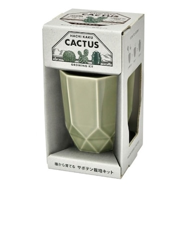 聖新陶芸　HACHIKAKU　CACTUS　GD1057-3　グレー/ウチワサボテン