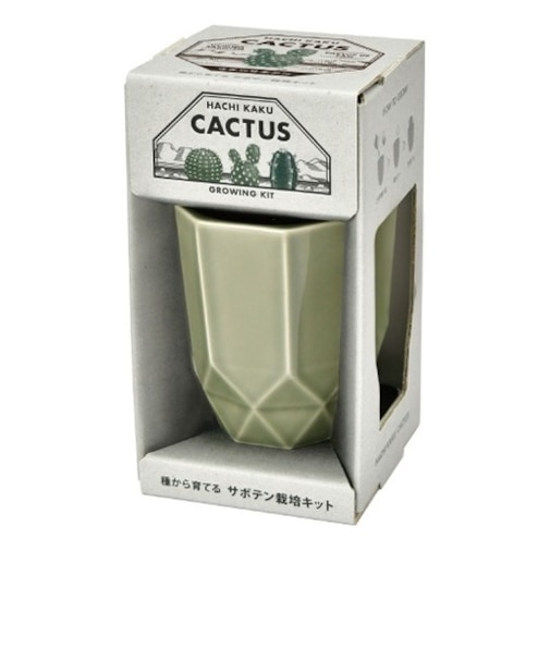 聖新陶芸　HACHIKAKU　CACTUS　GD1057-3　グレー/ウチワサボテン