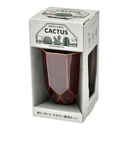聖新陶芸　HACHIKAKU　CACTUS　GD1057-1　茶/丸サボテン