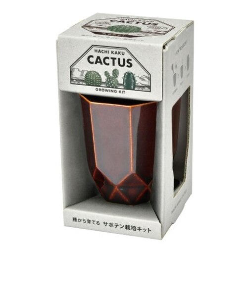 聖新陶芸　HACHIKAKU　CACTUS　GD1057-1　茶/丸サボテン