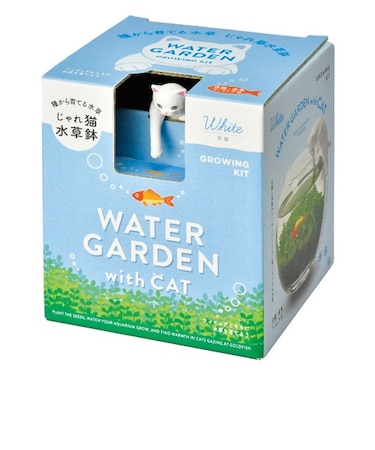 聖新陶芸　猫フィギュア付き水草栽培キット　じゃれ猫水草鉢　GD1056-1　白猫