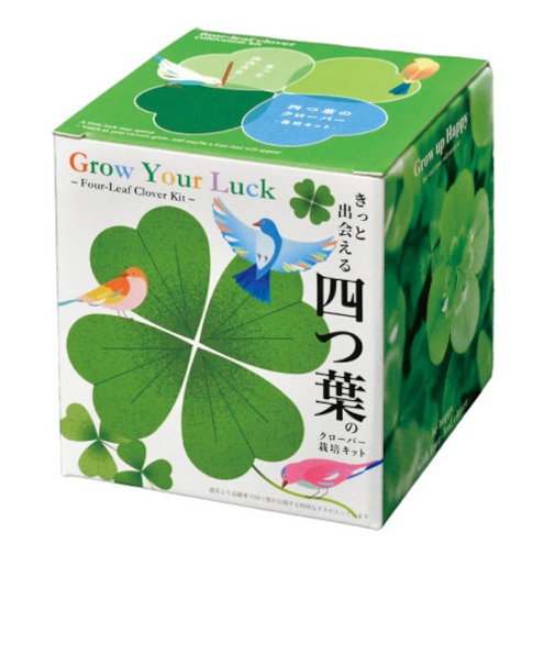 聖新陶芸　きっと出会える四つ葉栽培キット　GD1055