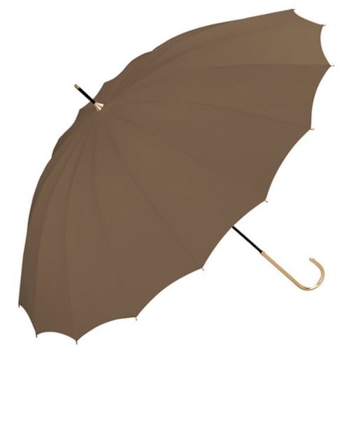 ダブリュピーシー（Wpc.）　16本骨　ソリッド　ブラウン