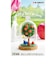 リーメント　ミッフィー　miffy　Terrarium　たのしいまいにち