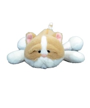 ニキ（NICI）　フィギュアポーチ　エキゾチックショートヘア