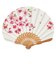 山二　婦人布扇子セット　姫桜　1123S　生成