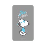 グルマンディーズ スマ冷え Premium PEANUTS スヌーピー ジョー・クール