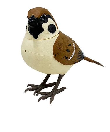 ティーケーエスケー（TKSK）　日本の野鳥　music　bird　スズメ