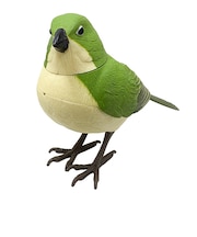 ティーケーエスケー（TKSK）　日本の野鳥　music　bird　メジロ