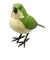 ティーケーエスケー（TKSK）　日本の野鳥　music　bird　メジロ