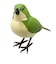 ティーケーエスケー（TKSK）　日本の野鳥　music　bird　メジロ