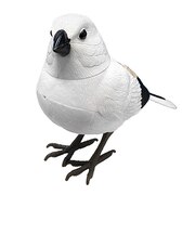 ティーケーエスケー（TKSK）　日本の野鳥　music　bird　シマエナガ