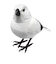 ティーケーエスケー（TKSK）　日本の野鳥　music　bird　シマエナガ