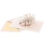 ホールマーク（Hallmark）　輸入カード　Signature　Paper　Wonder　おめでとう　82217　Cheers　hapy　to　be　cele