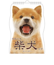 【2027年版・壁掛】 アクティブコーポレーション 柴犬です 27ACL-65