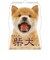 【2027年版・壁掛】　アクティブコーポレーション　柴犬です　27ACL-65