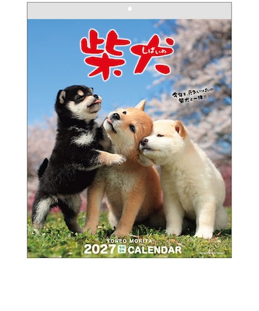 【2027年版・壁掛】　アクティブコーポレーション　森田米雄・まるごと柴犬　27ACL-11